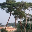 푸른솔농장5 이미지