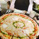 올리브 장작 이미지