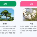 경주화랑고등학교