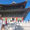 본디올현대한의원 이미지