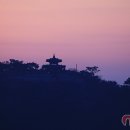 수원시 팔달구 팔달문로57번길 이미지