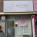 블룸인래쉬