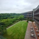 롤링힐스 호텔 이미지