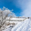 겨울이와여름이 이미지