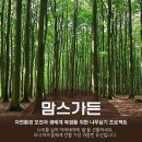 맘스가든