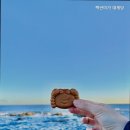 백년미가영덕대게빵