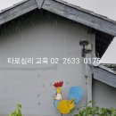 원테라피 이미지