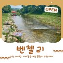 벤첼리 이미지