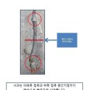 사과나무 심는 방법 이미지