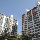 분당-331 이미지