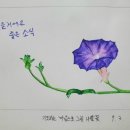 수성펜 수채화 이미지