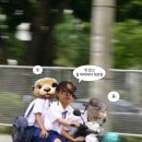 Taxi Lady 이미지