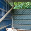 창신농장 이미지