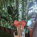 민들레다방 이미지