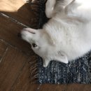 업사이클 위빙 이미지