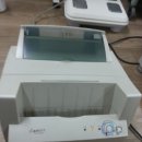 엘케이바이오 이미지