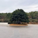 앳 부산 코브 | 부산 “아난티 앳 부산 코브” 내돈내산 후기!?