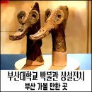 부산 가볼 만한 곳 부산대학교 박물관 2탄 상설전시 선사문화 및 가야 문화
