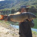 청도천4 이미지