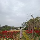 익산 신흥공원 사계절 예쁜곳 후기