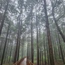 황룡시장 화장실 이미지