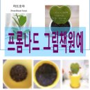 원예,미술치유 이미지