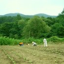 여름지기 - 봉화군 공세동길 86 | 여름지기