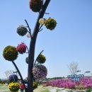 대지 행정사사무소 이미지