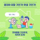 세종충대약국 이미지