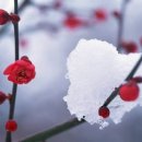 고은님 이미지