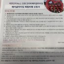 코에발코리아 주식회사 | 단양 패러글라이딩 코라이패러 익스트림코스 내돈내산 주말 예약