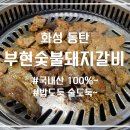 동탄 능동 맛집 부현숯불돼지갈비 1동탄 돼지갈비맛집 후기