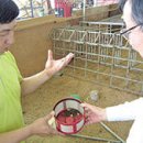 수자목장 이미지