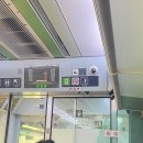 송지펜션 | 가평여행| 가평계곡펜션에서 힐링여행, ITX 좌석 꿀팁, 펜션 장보기 목록