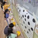 은샘어린이집 이미지