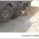 궁한옥민박 이미지