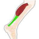 청담약손한의원 이미지