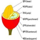 커피콩이야기 이미지