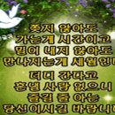 일란 이미지