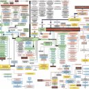 세탁천재 이미지