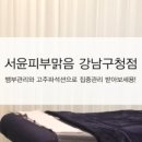 서윤피부맑음 네이버블로그