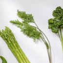 서울내과의원 이미지