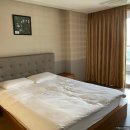 하이원펫클럽 이미지