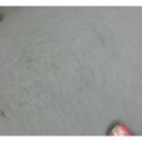 족발이간다 이미지