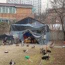 프불리하우스 네이버블로그