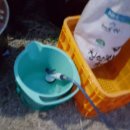 용골농원 이미지