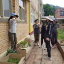 경기도 양평군 정배초등학교 이미지