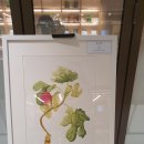봄맞이 꽃그림 보태니컬 아트 이미지