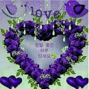 장어친구 네이버블로그