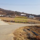 호선농장 이미지